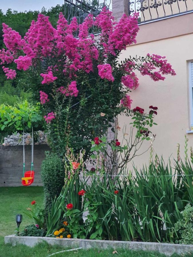 Village House Dunja Virpazar Ngoại thất bức ảnh